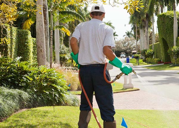 About West Union MN Pest Control